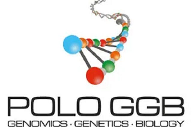 Polo D'innovazione Di Genomica,Genetica E Biologia Societa' Consortile R.L.